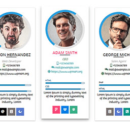 Team Members – Multi Language Supported Team Plugin 9.4 – WordPress Plugin