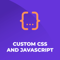 Custom CSS and JavaScript 2.0.16 – WordPress Plugin